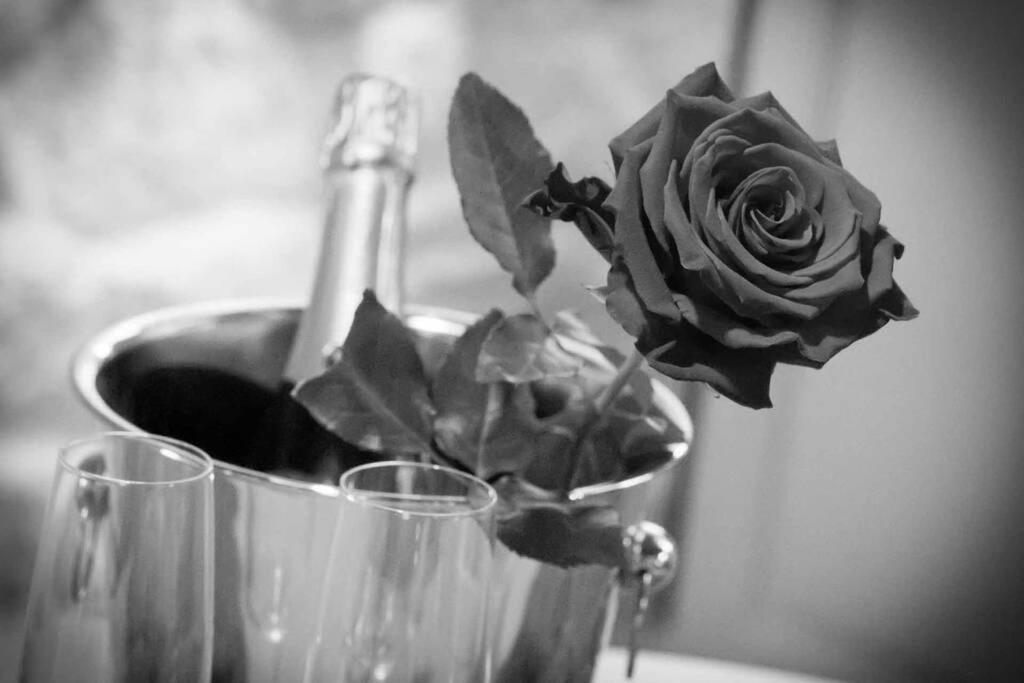 Gîte Love Dream - Le Gîte Romantique Ger  Extérieur photo